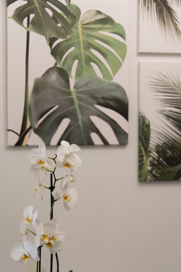 אתונה Medluxe Comfort Apartment מראה חיצוני תמונה